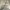 https://res.cloudinary.com/billionhands/image/upload/v1775248675/items/yqxrntd12hpeuwhendlp.jpg-1cover
