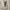 https://res.cloudinary.com/billionhands/image/upload/v1775248905/items/yffxws05jzeuavtpg29h.jpg-0cover