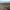 https://res.cloudinary.com/billionhands/image/upload/v1775249643/items/esdiaoyao3tbqeu3pq25.webp-0cover