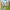 https://res.cloudinary.com/billionhands/image/upload/v1775249648/items/vc55lxpqcuecpyvm1vq3.jpg-1cover