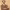 https://res.cloudinary.com/billionhands/image/upload/v1775249898/items/pnx2rr8mahdvmhmcascn.jpg-1cover