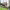 Real-time Quality Sensors and IoT for Monitoring cover