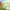 https://res.cloudinary.com/billionhands/image/upload/v1775252215/items/v15qazce0pvwjd8mxspt.jpg-3cover