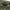 https://res.cloudinary.com/billionhands/image/upload/v1775252624/items/x8ckhipywmmcgtwa6row.jpg-0cover