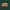 Gluten-Free Chicken Sandwich (Starbucks) cover