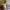 https://res.cloudinary.com/billionhands/image/upload/v1775252713/items/c53soumcpsthhzfb6zb3.jpg-3cover