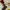 https://res.cloudinary.com/billionhands/image/upload/v1775253074/items/uafgpqlkriltfgdpbk89.webp-3cover