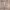 https://res.cloudinary.com/billionhands/image/upload/v1775253180/items/fzvnf2zt0ecdaz1ekdkc.jpg-3cover
