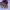 https://res.cloudinary.com/billionhands/image/upload/v1775253971/items/g7gkzlqdrda5bgtika90.jpg-1cover