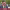https://res.cloudinary.com/billionhands/image/upload/v1775254347/items/otuxuem6sbn7d6zmmemu.webp-2cover