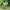 https://res.cloudinary.com/billionhands/image/upload/v1775254801/items/rscn1wgyknhhzq2d0t63.webp-1cover