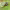 https://res.cloudinary.com/billionhands/image/upload/v1775255492/items/cz1vb0l8adep9j3apmgg.jpg-1cover