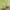 https://res.cloudinary.com/billionhands/image/upload/v1775255742/items/zakl7voijuyz5kdllypk.avif-0cover