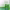 https://res.cloudinary.com/billionhands/image/upload/v1775255747/items/g2nmnafk9l6jdcyuem5k.jpg-3cover