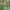https://res.cloudinary.com/billionhands/image/upload/v1775256165/items/zptqmt6de6orbjbdp6j2.webp-3cover