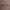 https://res.cloudinary.com/billionhands/image/upload/v1775256253/items/gncuwtcrmf4cp7akw4qm.jpg-2cover