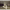 https://res.cloudinary.com/billionhands/image/upload/v1775256260/items/p6g4tgqs8uevfgvrtmwc.webp-2cover