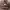 https://res.cloudinary.com/billionhands/image/upload/v1775256262/items/gqzria3ikcmbcegxex8k.jpg-1cover