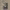 https://res.cloudinary.com/billionhands/image/upload/v1775256274/items/bp2f9sqacxdxgroau5yd.jpg-3cover