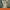 https://res.cloudinary.com/billionhands/image/upload/v1775256282/items/bkdf9j7d4pc1hjgafsq6.webp-2cover