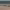 https://res.cloudinary.com/billionhands/image/upload/v1775256594/items/jlspwewkra0hvftkuk0p.webp-1cover