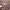 https://res.cloudinary.com/billionhands/image/upload/v1775256595/items/zwa0ajagsgzsr2vpmzj9.png-2cover