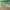 https://res.cloudinary.com/billionhands/image/upload/v1775256598/items/w21hjxbh48lscdbfggtf.png-3cover