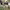 https://res.cloudinary.com/billionhands/image/upload/v1775256599/items/omhhyya9vhzol3tuynw4.jpg-3cover