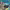https://res.cloudinary.com/billionhands/image/upload/v1775256697/items/hppw7chdxqpkc1oikvz8.jpg-2cover