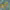 https://res.cloudinary.com/billionhands/image/upload/v1775256709/items/r1tfevdwtstnj3ecvpdz.jpg-2cover