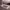 https://res.cloudinary.com/billionhands/image/upload/v1775257279/items/s6eqvvpdzq5tie40s2ig.webp-1cover