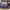 https://res.cloudinary.com/billionhands/image/upload/v1775257370/items/m0o1xk0ewdqro1sjtff2.jpg-2cover