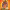 https://res.cloudinary.com/billionhands/image/upload/v1775257637/items/joqswgyltyusrh8j19bf.jpg-1cover