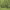 https://res.cloudinary.com/billionhands/image/upload/v1775257690/items/mpopeo7piku3zimthwms.jpg-2cover