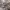 https://res.cloudinary.com/billionhands/image/upload/v1775258725/items/ywnz9j1kfiyxi0zq1pkn.jpg-1cover