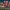https://res.cloudinary.com/billionhands/image/upload/v1775258857/items/j1hq6fck4x9p8gtz8wm7.jpg-0cover