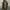 https://res.cloudinary.com/billionhands/image/upload/v1775258996/items/ur7solmb0swjex18ge0o.webp-2cover