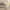 https://res.cloudinary.com/billionhands/image/upload/v1775259516/items/w7w4xtvkvqylkxxj1w69.webp-2cover