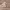 https://res.cloudinary.com/billionhands/image/upload/v1775259517/items/yeuybxib4cgkcs8wd73k.webp-3cover