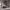 https://res.cloudinary.com/billionhands/image/upload/v1775259735/items/ady3lmarwanpujpfdqgw.jpg-0cover