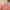 https://res.cloudinary.com/billionhands/image/upload/v1775259970/items/hsawcxdwtvsj6x6ajqa7.png-2cover