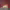https://res.cloudinary.com/billionhands/image/upload/v1775260049/items/xdt3vw2wleq5msfufkkz.jpg-3cover