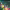 https://res.cloudinary.com/billionhands/image/upload/v1775260941/items/g1slzdb0ggjfapxuxjcb.jpg-2cover