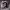 https://res.cloudinary.com/billionhands/image/upload/v1775261070/items/ldywj2eayurm1juyq8la.jpg-3cover