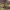 https://res.cloudinary.com/billionhands/image/upload/v1775262009/items/ghrgyrtqpjxxje7lupsw.avif-3cover