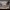 https://res.cloudinary.com/billionhands/image/upload/v1775262014/items/rttganw1dekc4hpklvic.jpg-3cover
