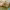 https://res.cloudinary.com/billionhands/image/upload/v1775262681/items/cqxis5d8oxni0vzicru7.jpg-3cover