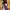https://res.cloudinary.com/billionhands/image/upload/v1775263450/items/np27ryurxkhlvkp5xblf.webp-0cover