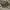 https://res.cloudinary.com/billionhands/image/upload/v1775264091/items/csvoy60rx9beixb8icsn.jpg-2cover