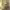 https://res.cloudinary.com/billionhands/image/upload/v1775264246/items/uxzux5fkzu172mxkpkx9.jpg-1cover